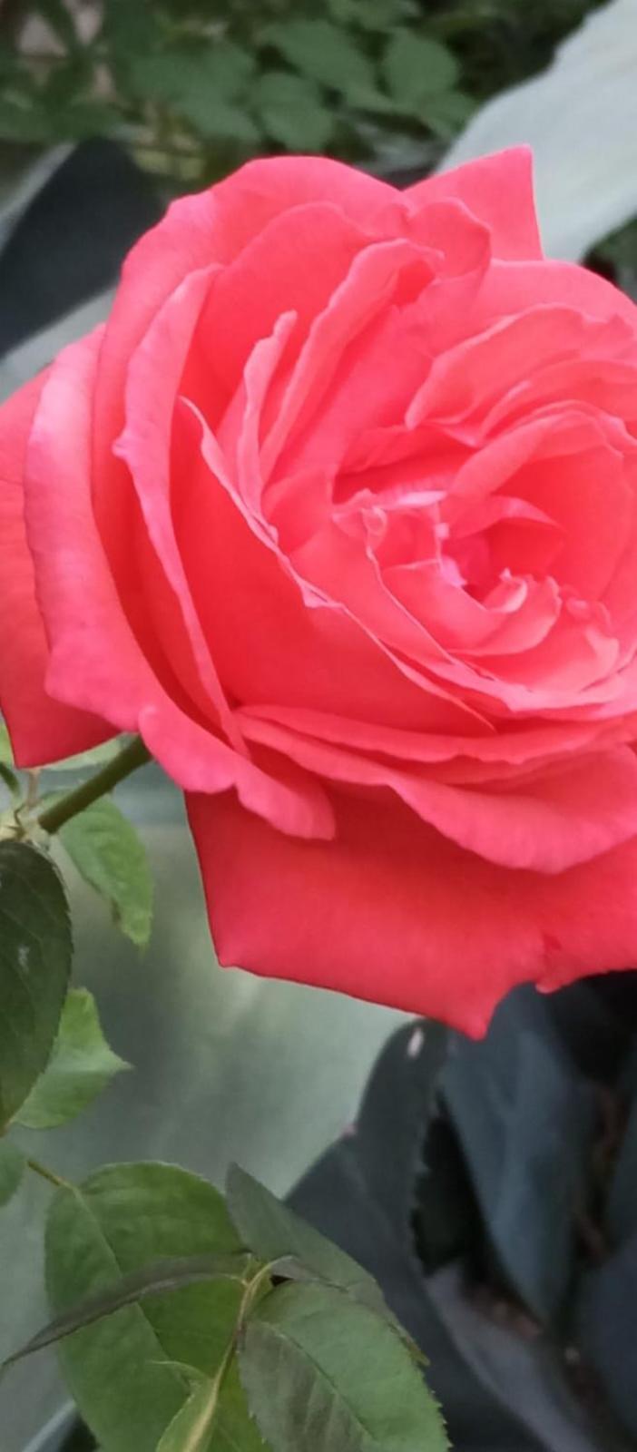 Magnanerie Le Mas D'Elise Boisset-et-Gaujac ภายนอก รูปภาพ