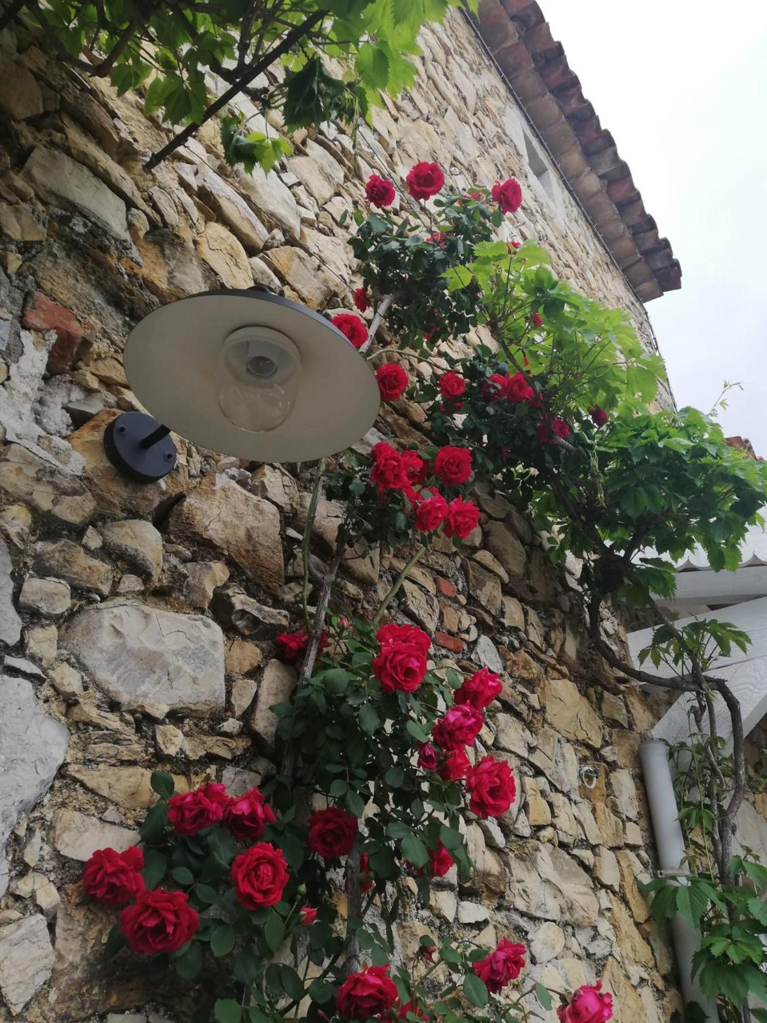 Magnanerie Le Mas D'Elise Boisset-et-Gaujac ภายนอก รูปภาพ